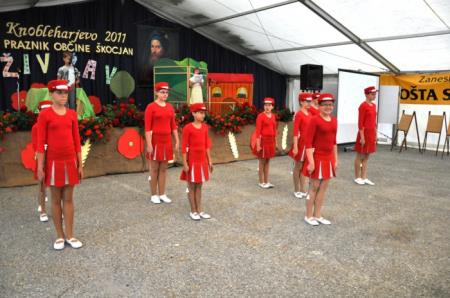 KNOBLEHARJEVO 2011 - Živ Žav 8